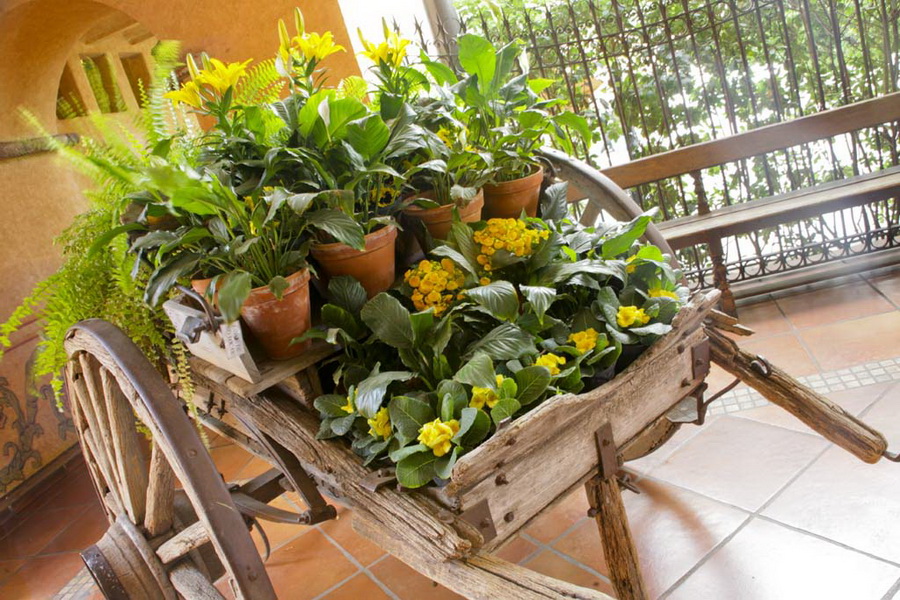 decoracion025.jpg