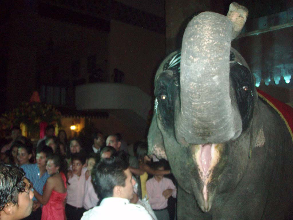 servicio-animacion04.jpg